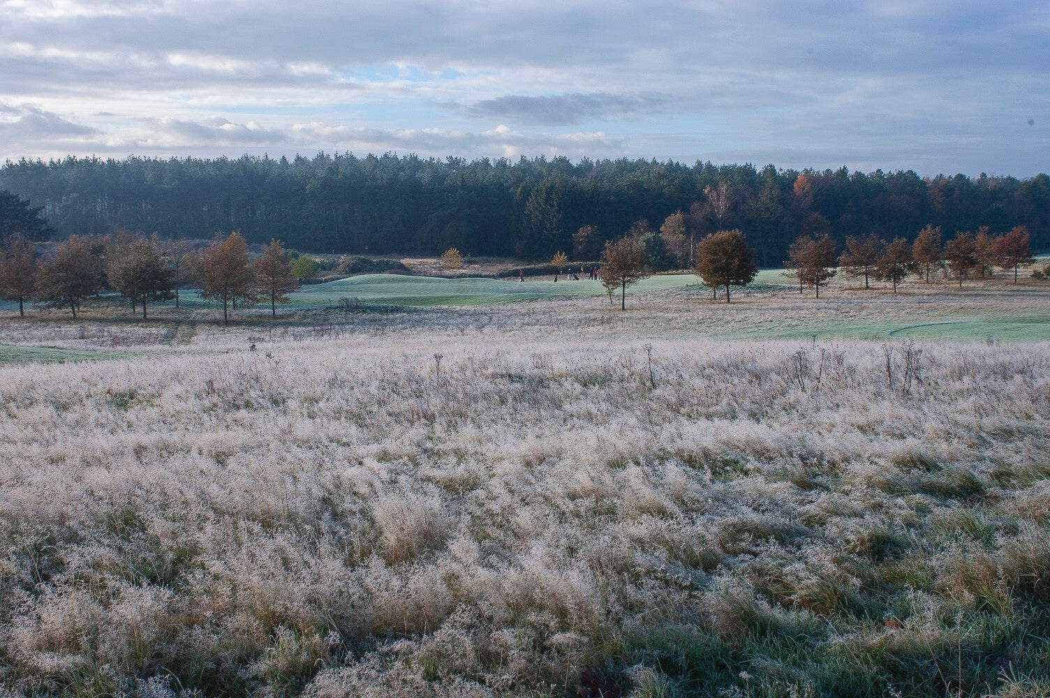 041114_edese_golf_011-1.jpg