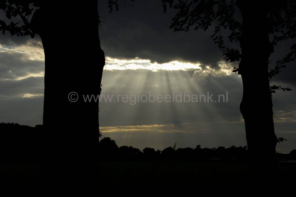 060623oudenhorsterpad039.jpg