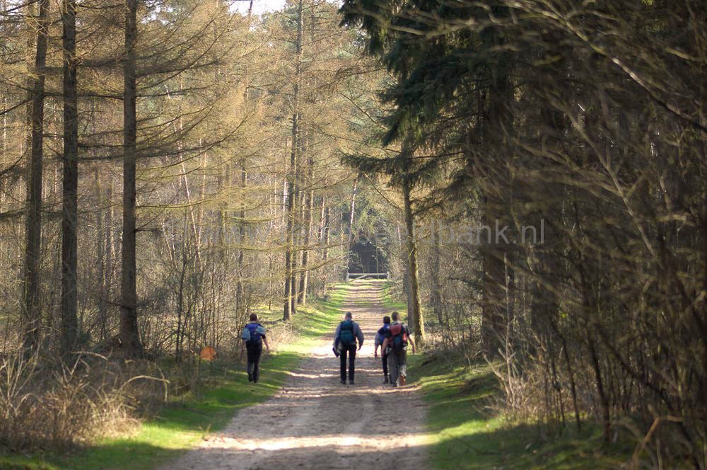 070325_lunteren089.jpg
