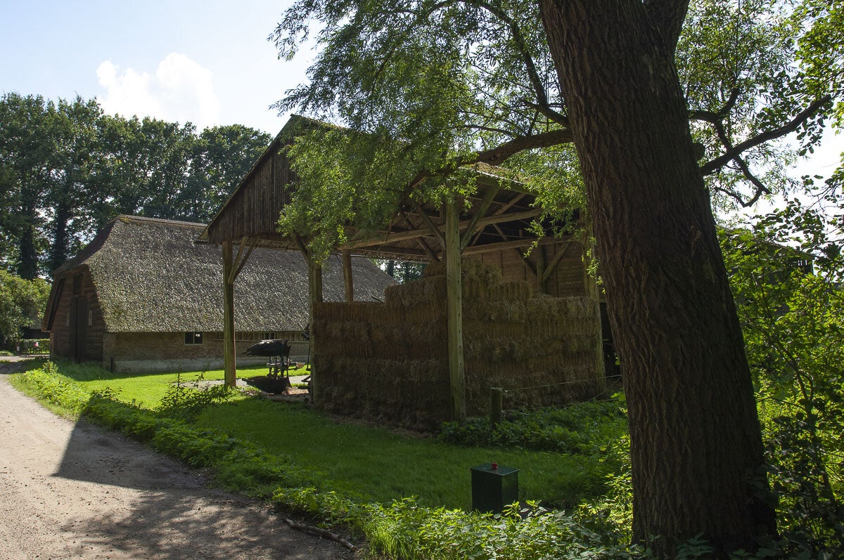 070728_degeldersevallei_114-1.jpg
