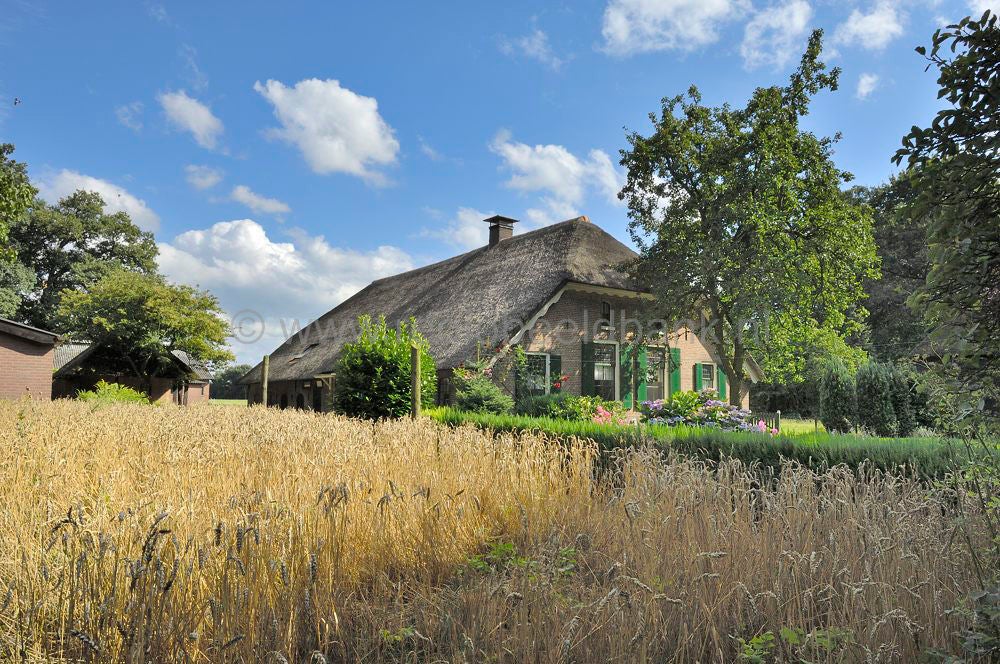 070728_degeldersevallei_122.jpg