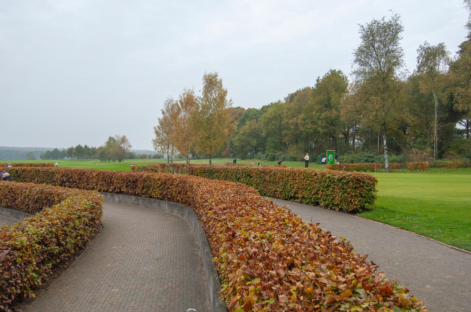 071030_edese_golf_021.jpg