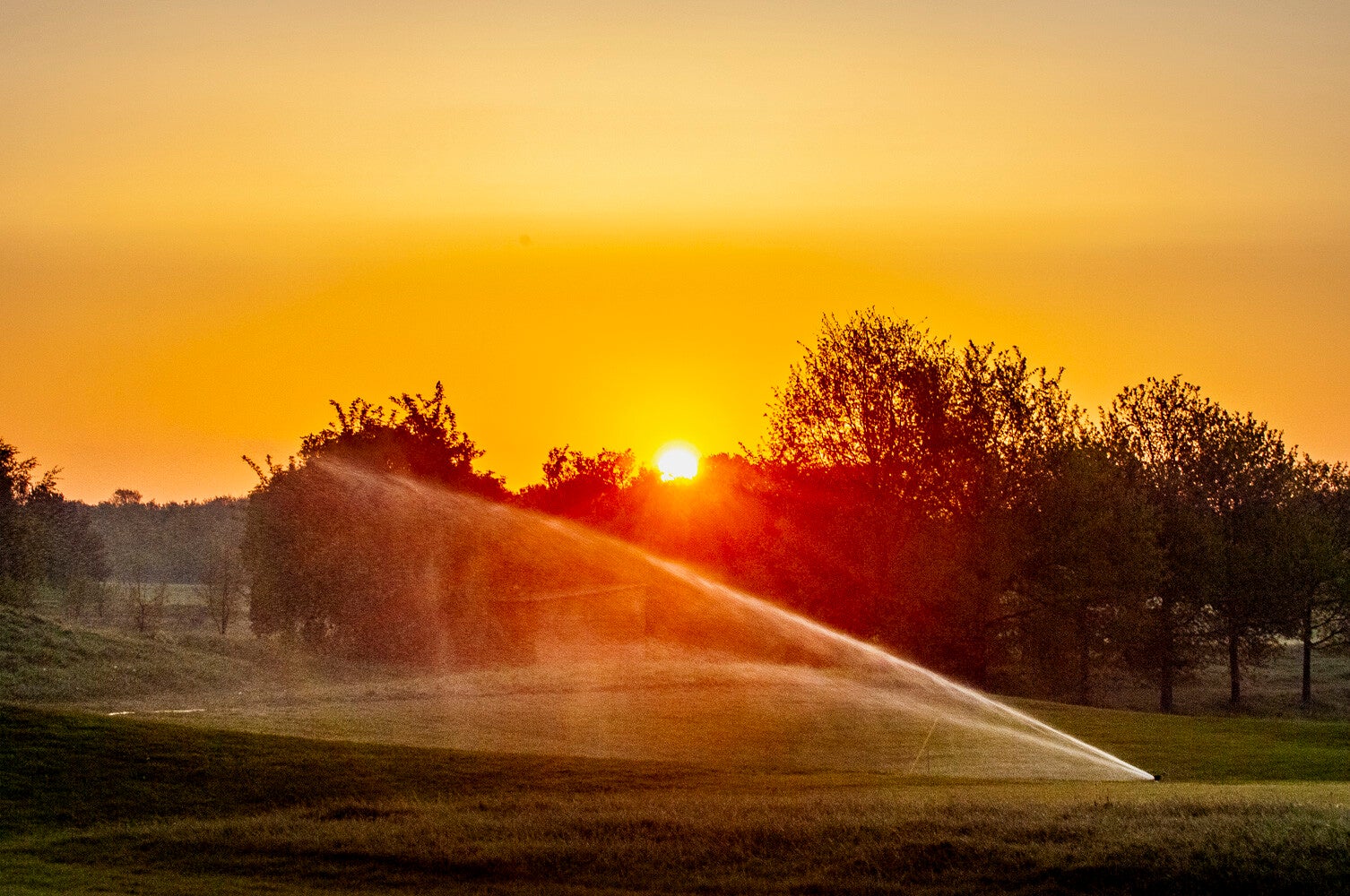 080510_edese_golf_078.jpg