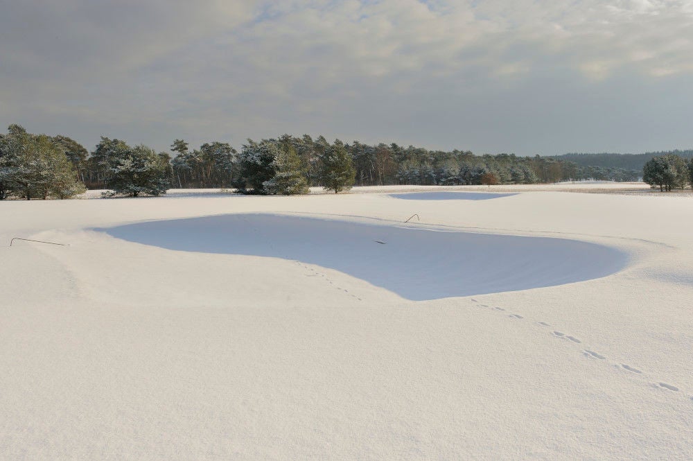 091218_edese_winter_007.jpg