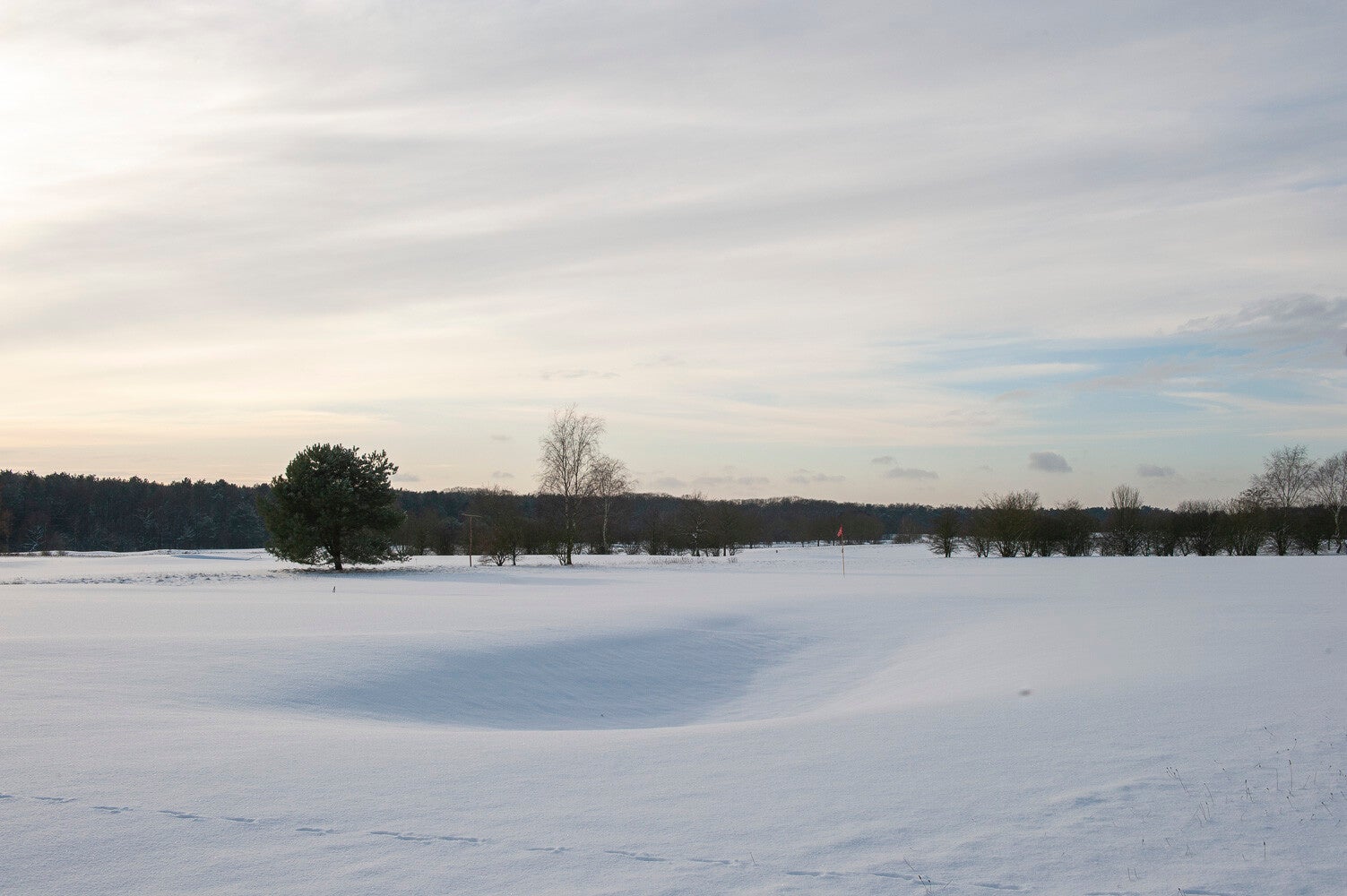 091218_edese_winter_025.jpg