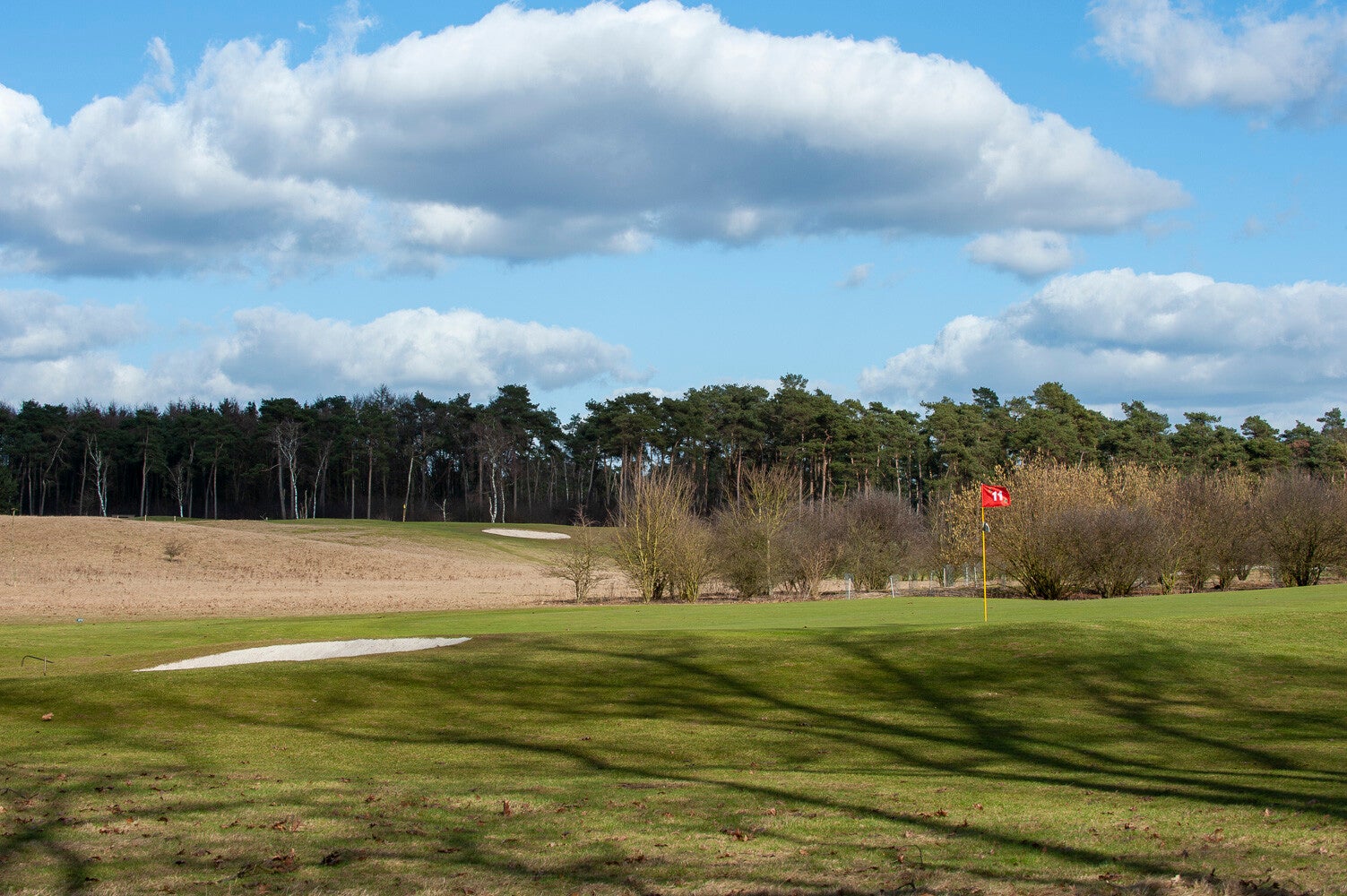 100304_edesegolf_009.jpg