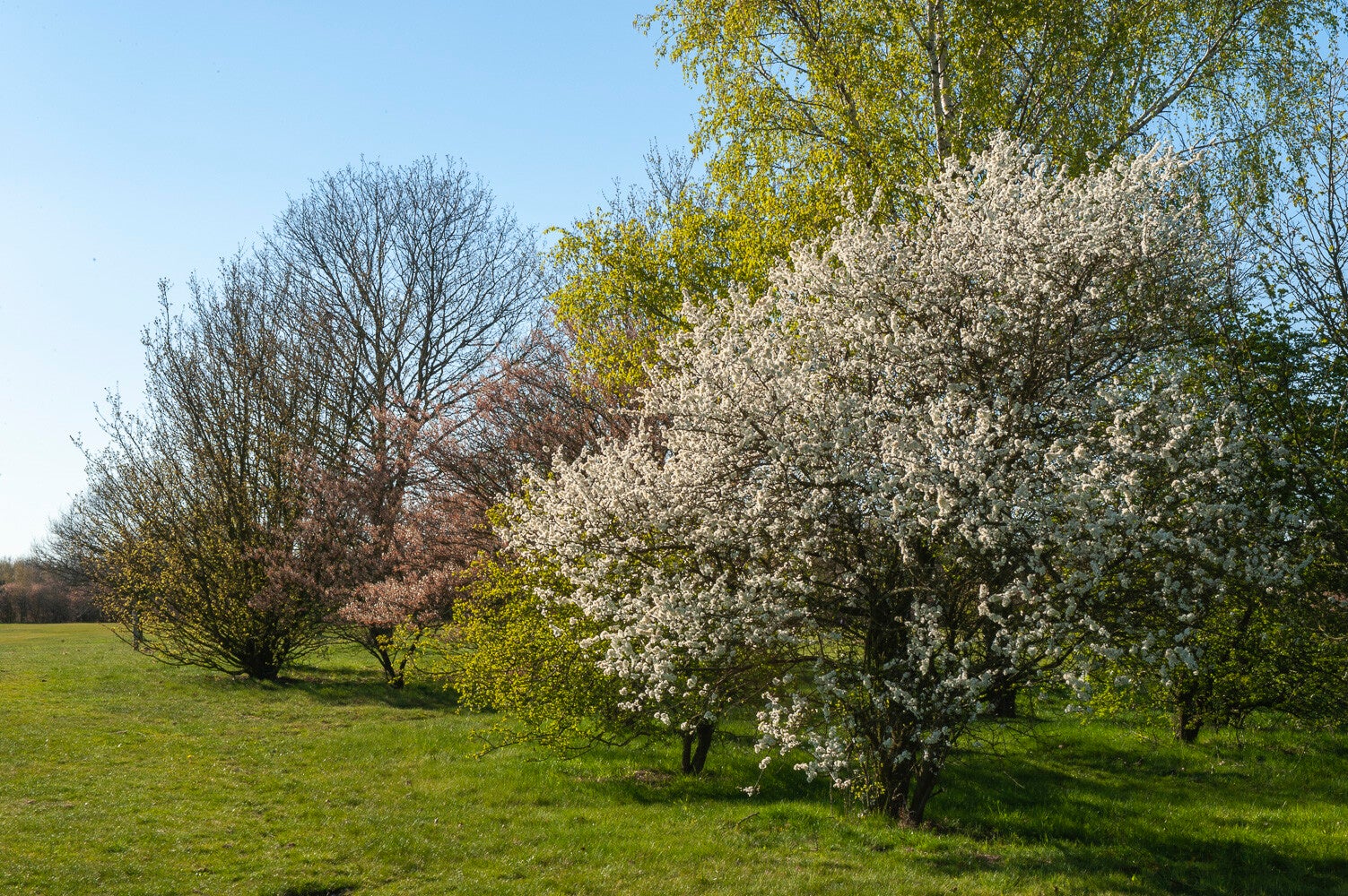100416_edesegolf_030.jpg