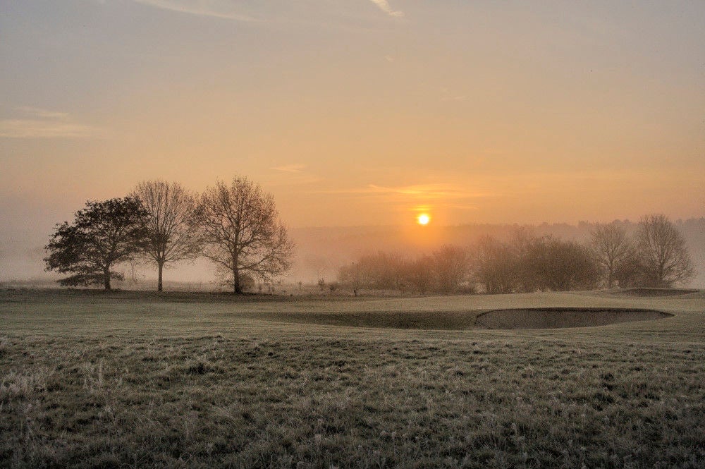 101121_edesegol__003.jpg
