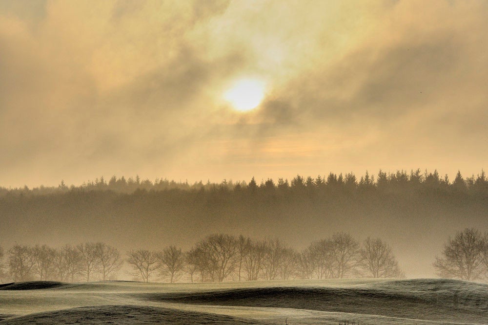 101121_edesegol__011.jpg