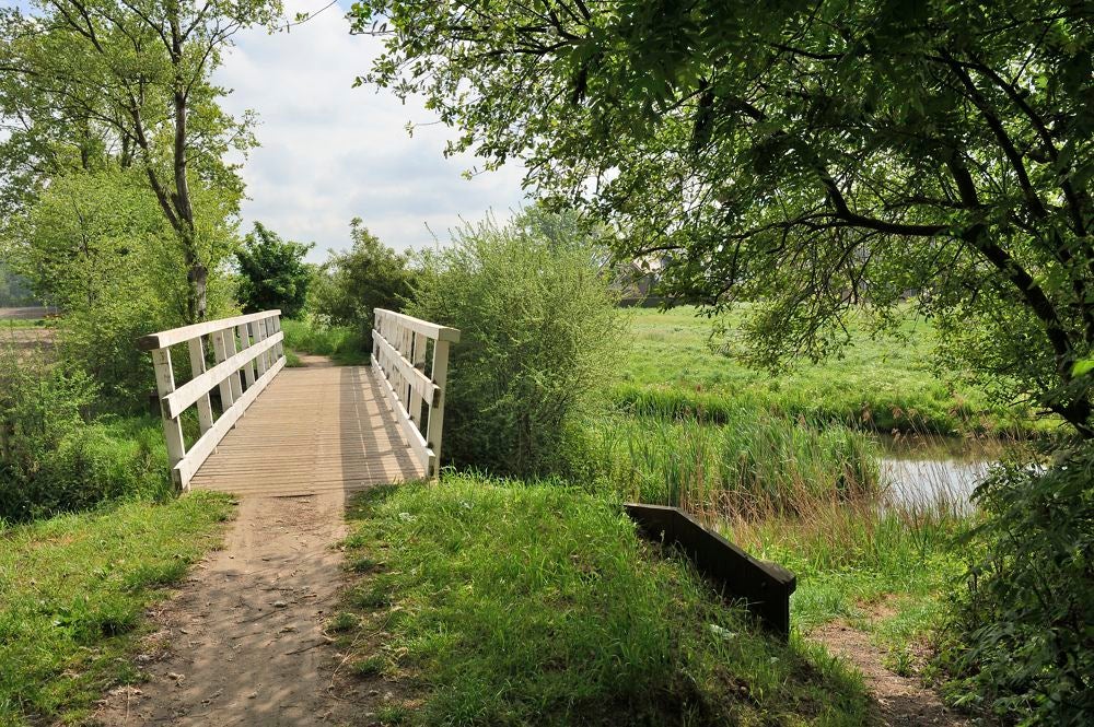 14KRenswoude_013.jpg
