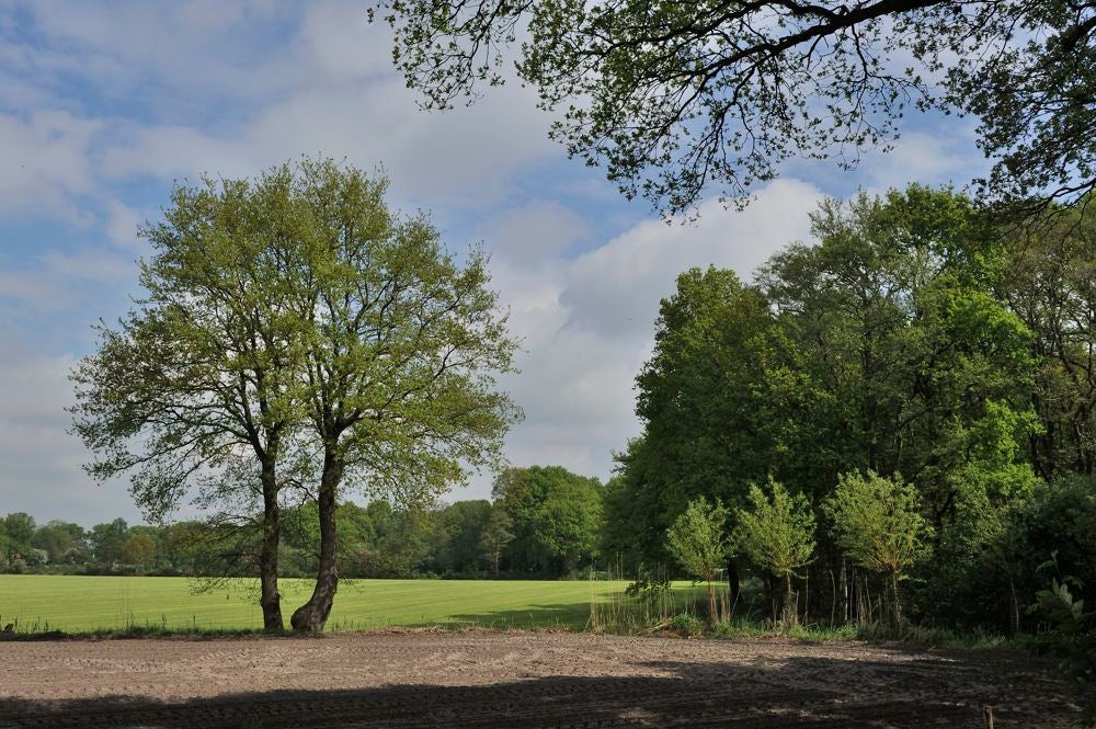 14KRenswoude_016.jpg