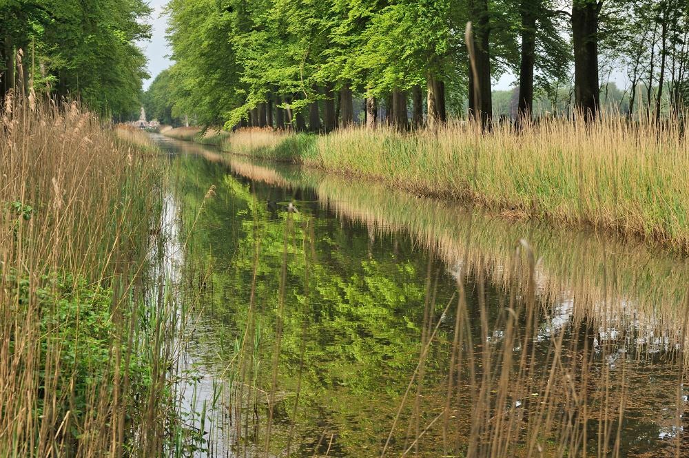 14KRenswoude_039.jpg