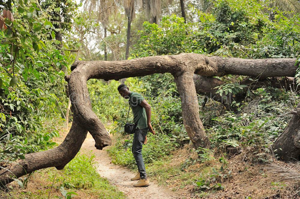 AbukoForest_2016_1237.jpg