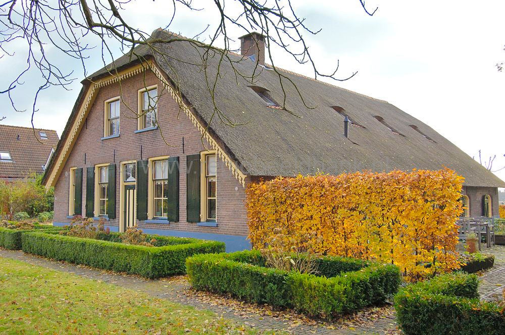 Achterveld