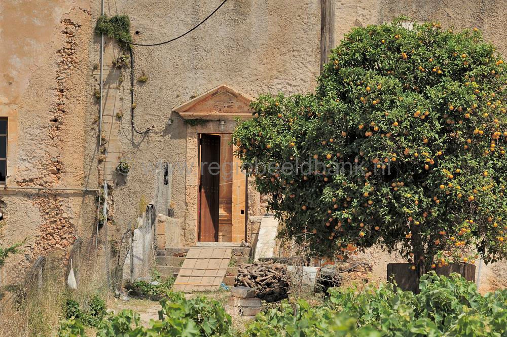 Agia_Triada_Mon_111.jpg