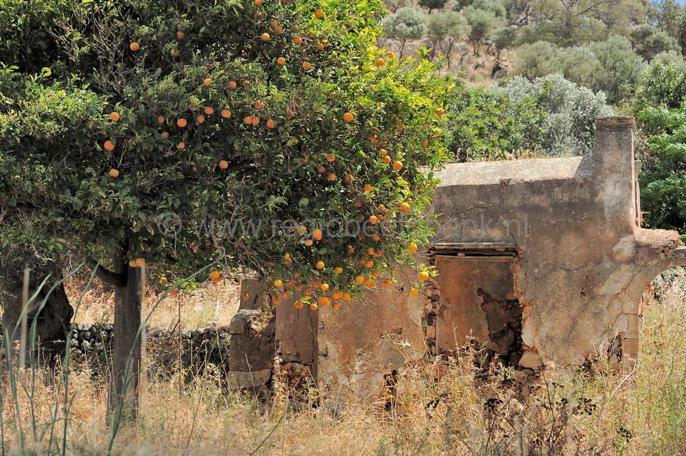 Agia_Triada_Mon_133.jpg
