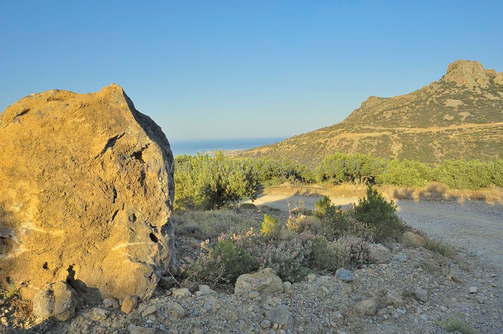 AgioFotia_Makrigialos_kreta_0281.jpg