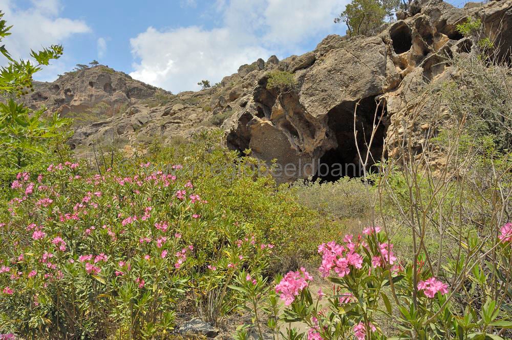 AgioFotia_Makrigialos_kreta_0284.jpg