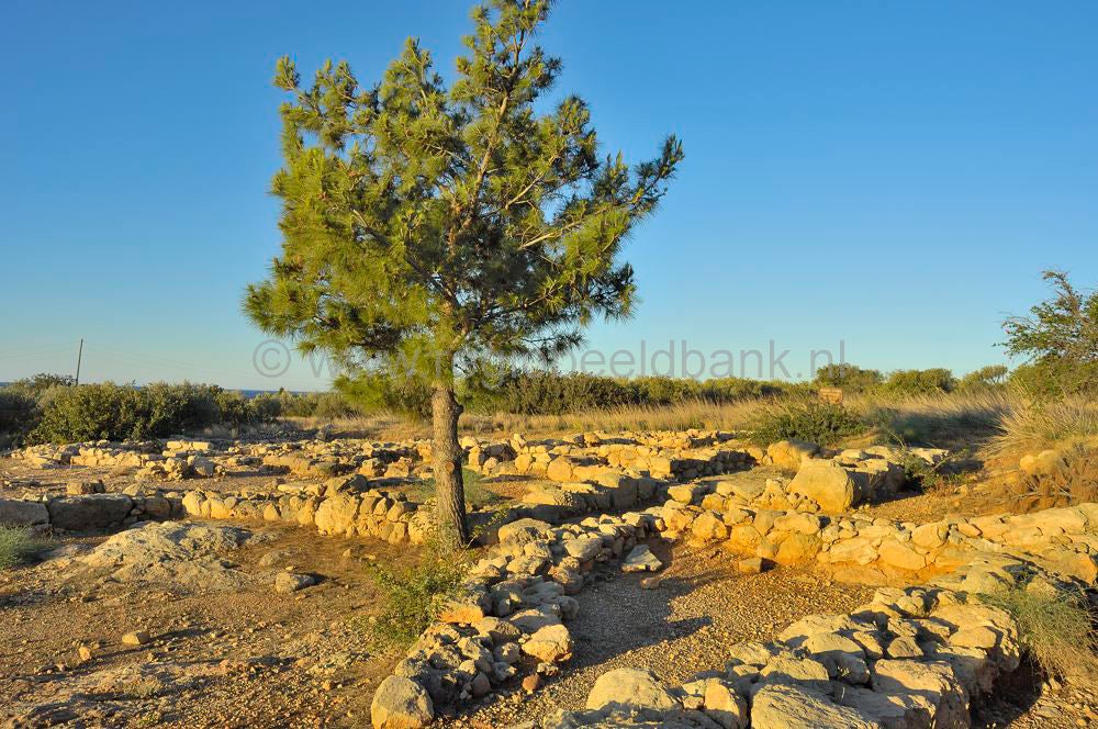 AgioFotia_Makrigialos_kreta_0297.jpg