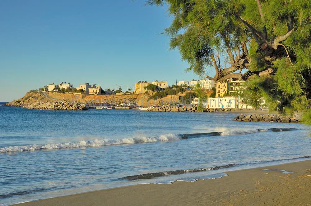 AgioFotia_Makrigialos_kreta_0301.jpg
