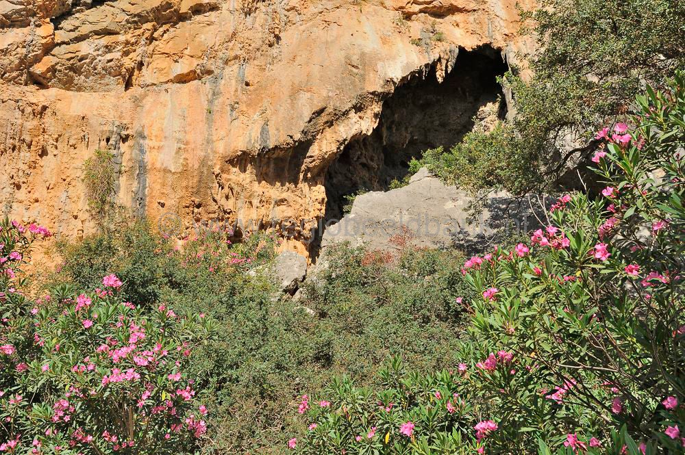 Agio_Farago_Gorge_015.jpg