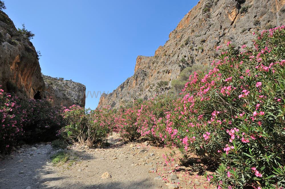 Agio_Farago_Gorge_017.jpg