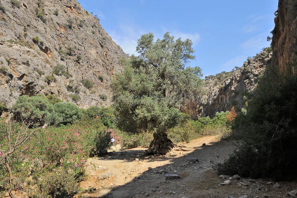 Agio_Farago_Gorge_031.jpg