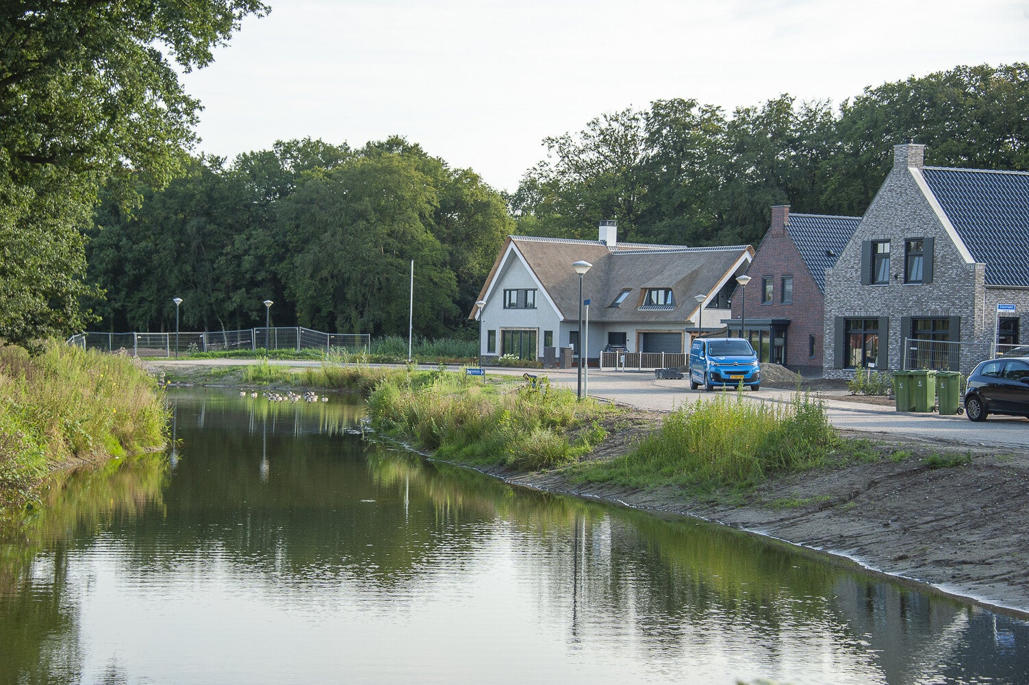 Akkerwinde_1474.jpg
