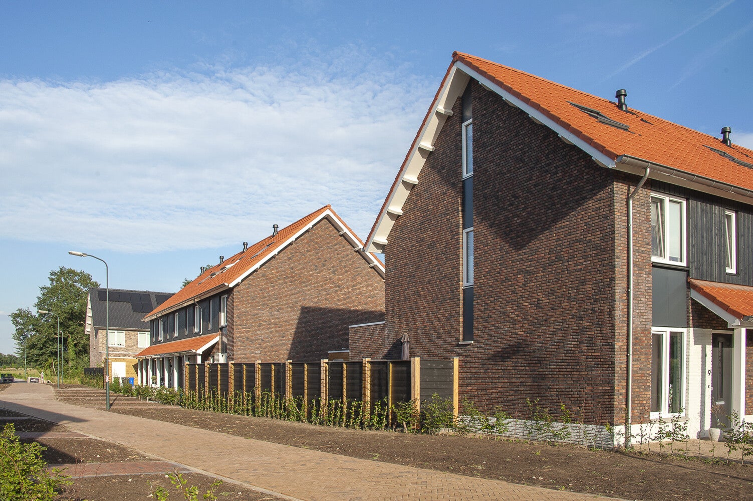 Akkerwinde_1479.jpg
