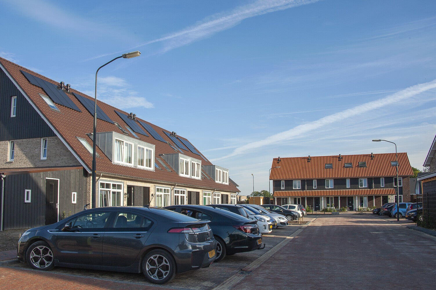 Akkerwinde_1482.jpg