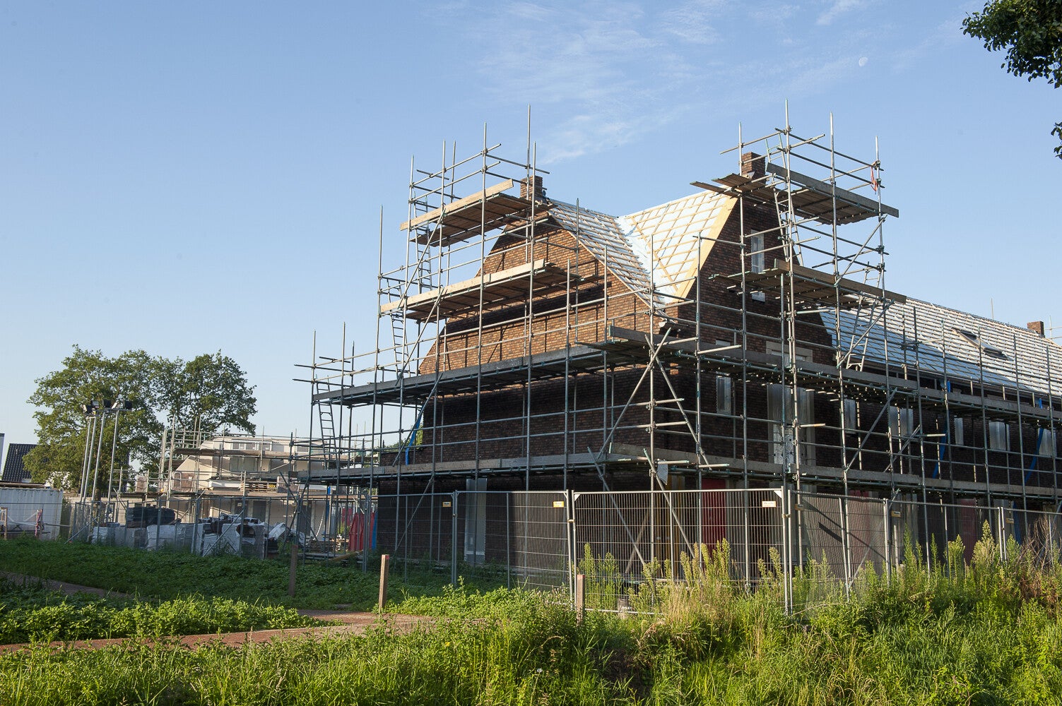 Akkerwinde_1647.jpg