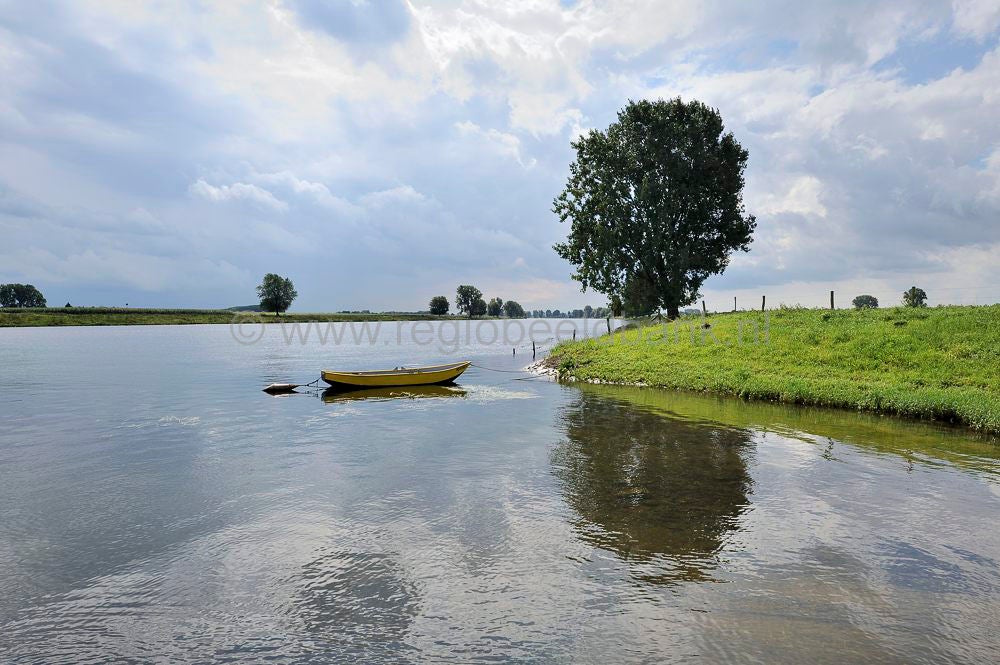 Maas