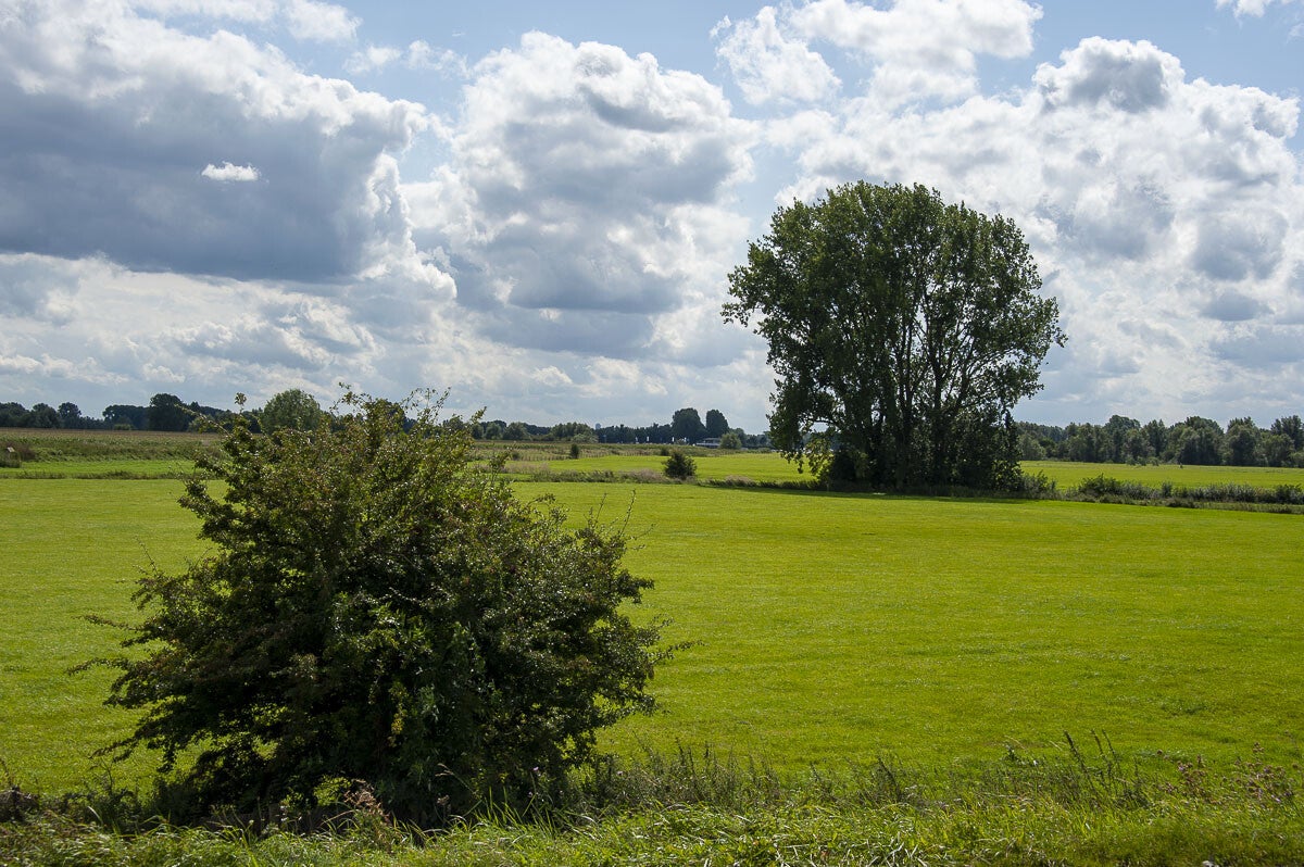 Alemschepad_037.jpg