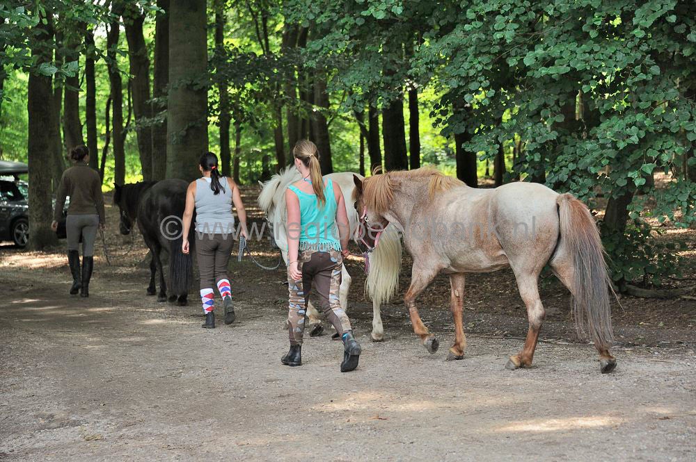 Recreatie Amerongen