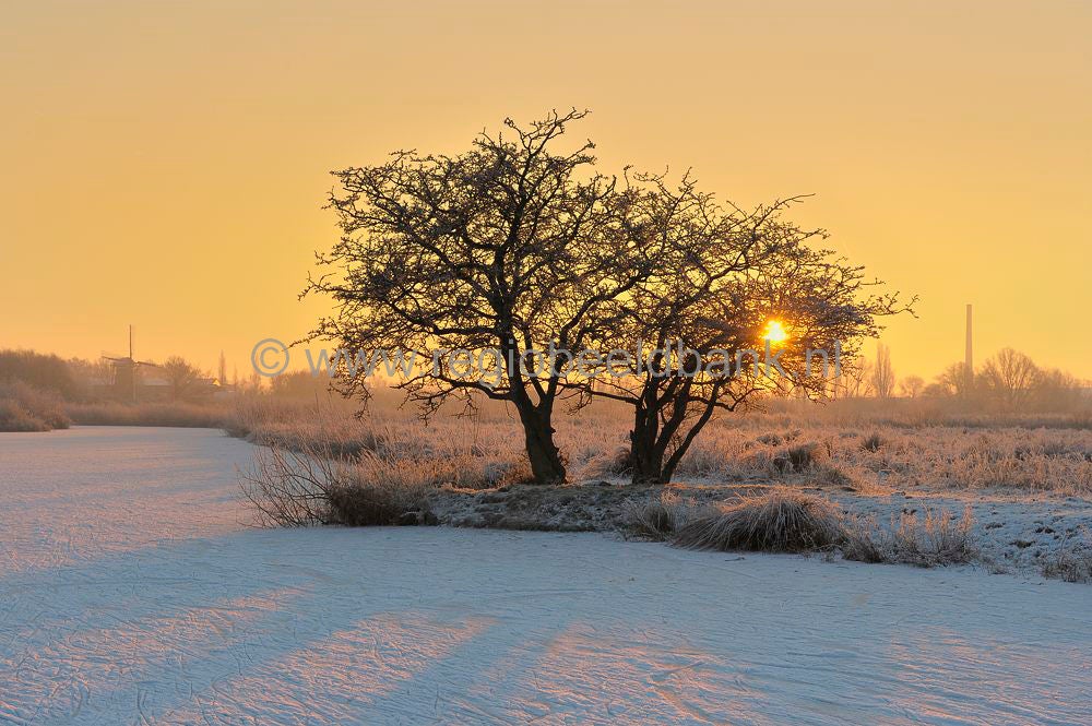 Amerongse_Bovenp_008.jpg