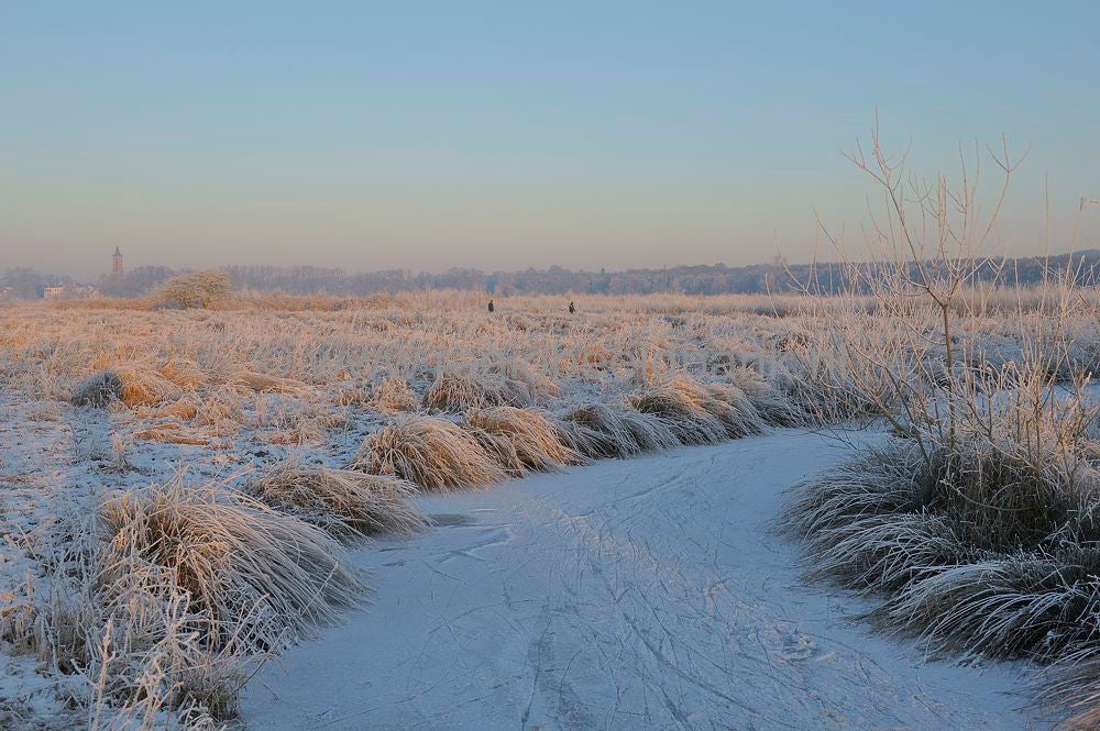 Amerongse_Bovenp_011.jpg