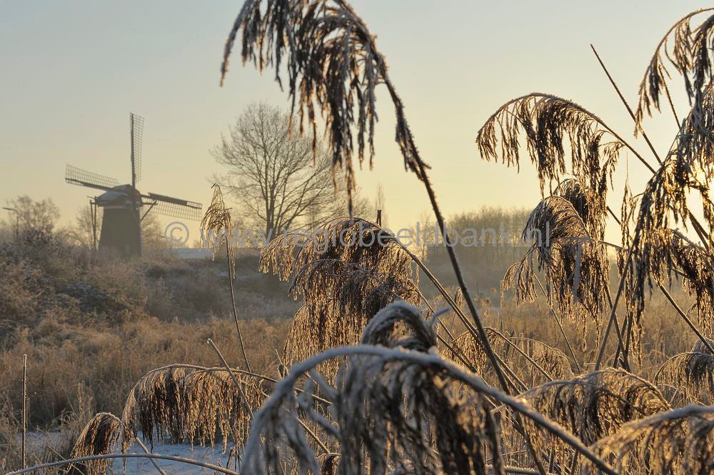 Amerongse_Bovenp_018.jpg