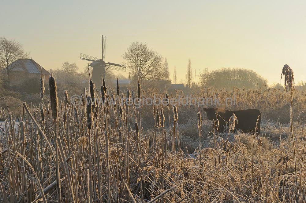 Amerongse_Bovenp_021.jpg