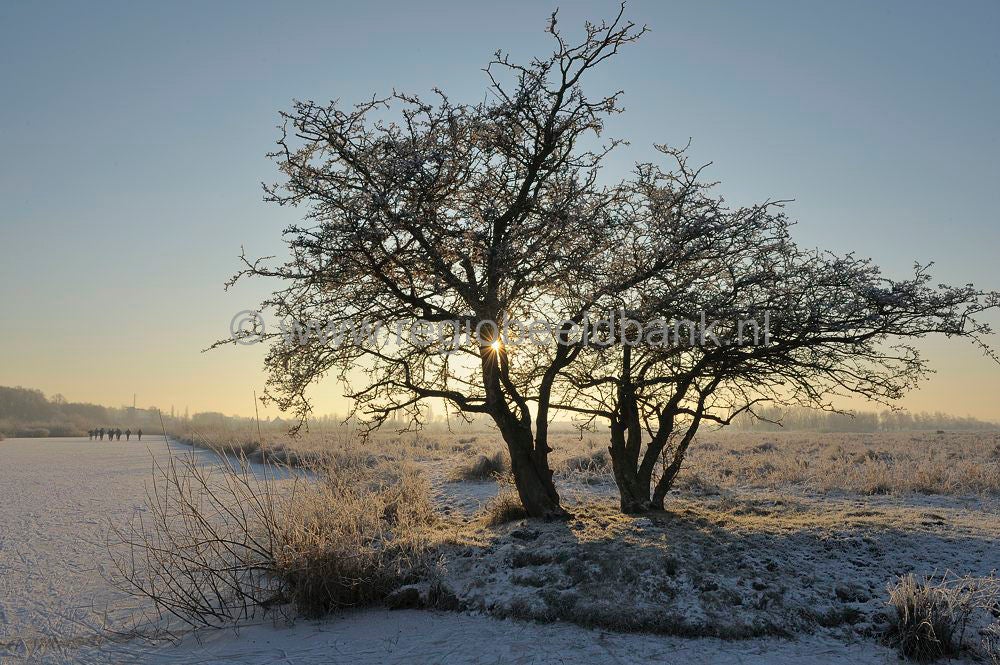 Amerongse_Bovenp_024.jpg