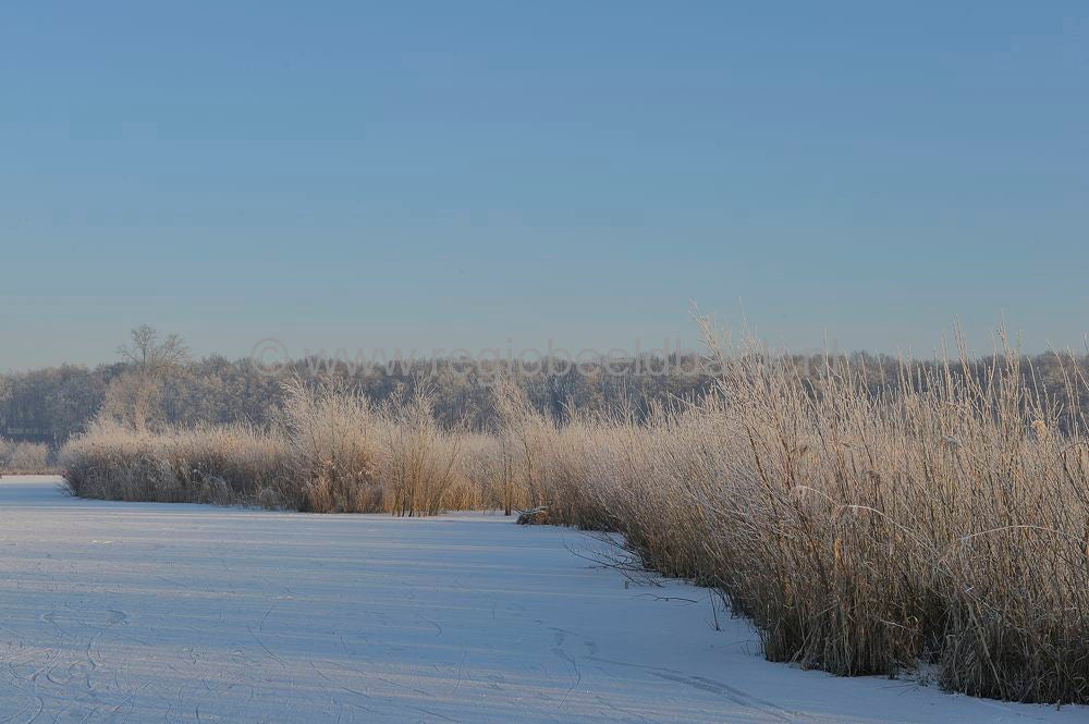 Amerongse_Bovenp_027.jpg