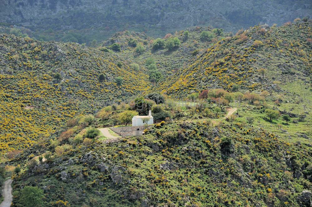 Apokoronas_2011020.jpg