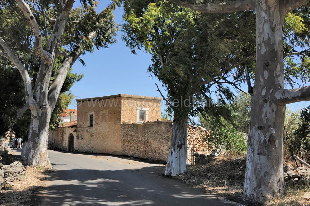 Apokoronas_20110_219.jpg