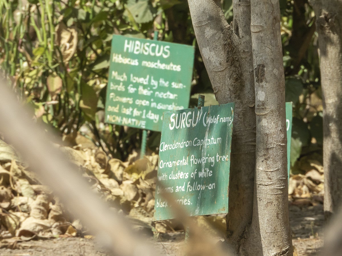 Arboretum_FarakunkuLodge_0887-2.jpg