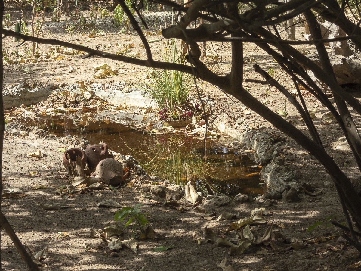 Arboretum_FarakunkuLodge_0915-2.jpg