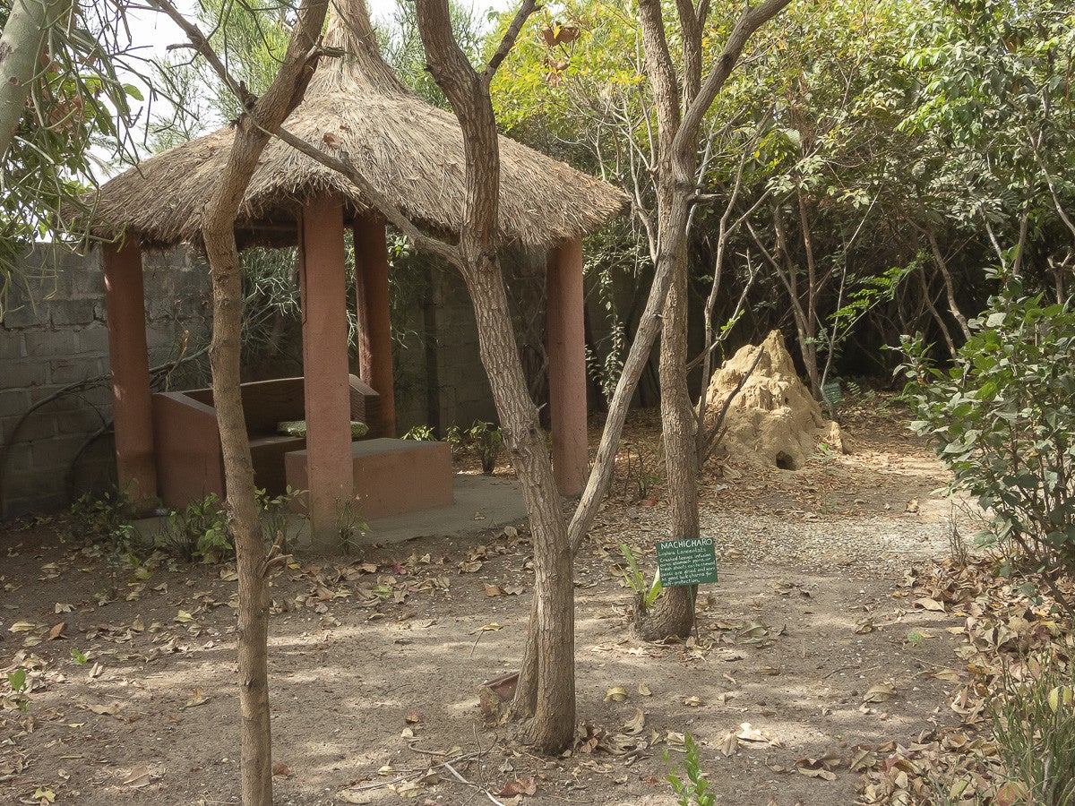 Arboretum_FarakunkuLodge_5110-2.jpg