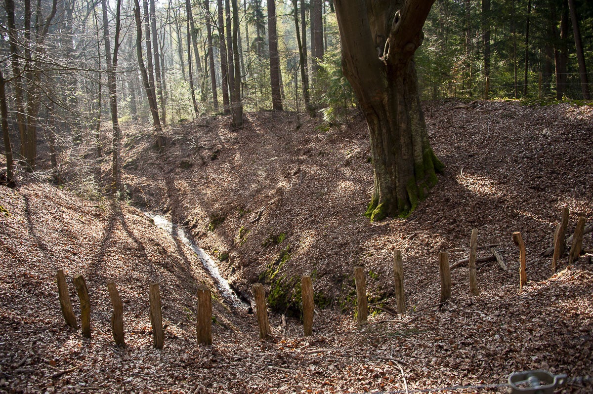 Assenradepad_018-1.jpg