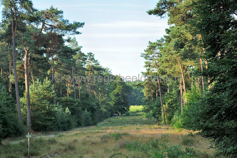 Austerlitz_001.jpg