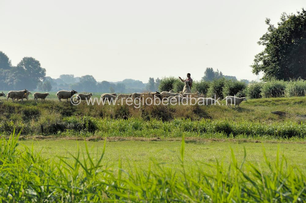 Baarn