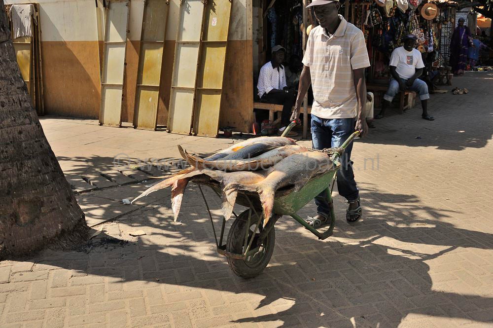 Banjul_2016_1134.jpg