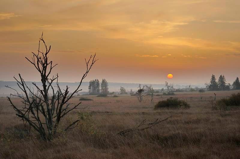 Baraque Michel Sunrise